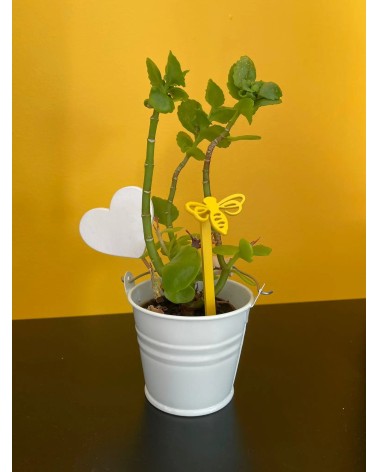 Piquets déco pour plantes – Abeille, papillon, libellule, champignon