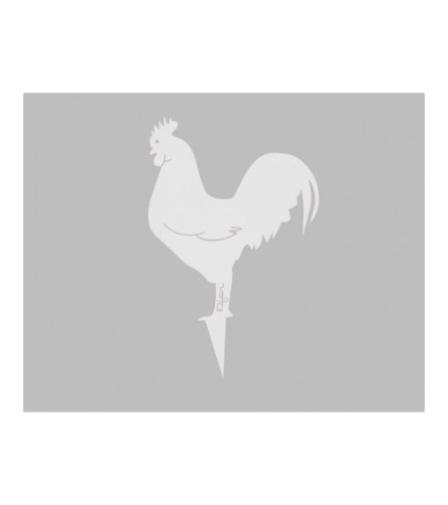 Coq Mister Panache