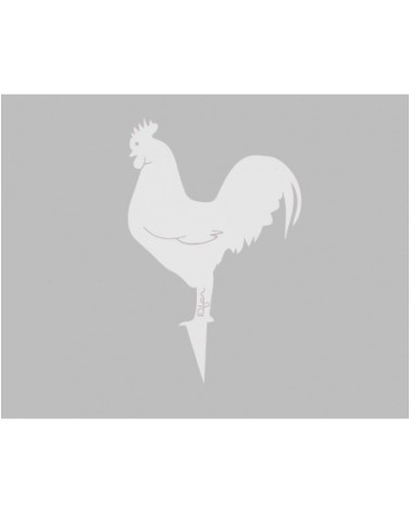 Coq Mister Panache
