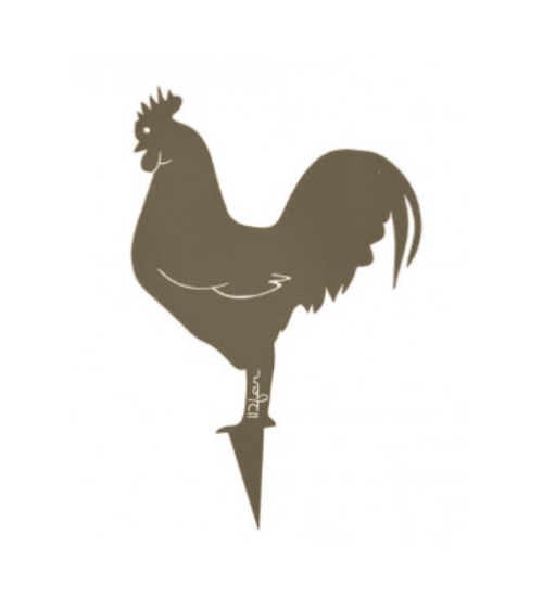 Coq Mister Panache