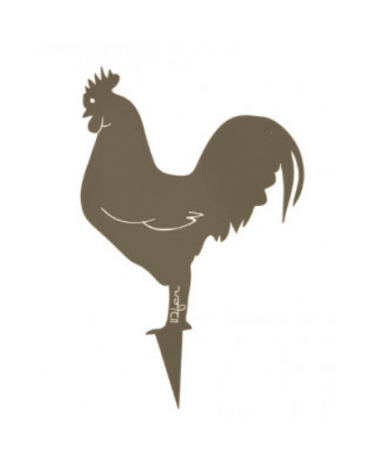 Coq Mister Panache