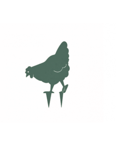 Poule Miss Chabo - IDfer