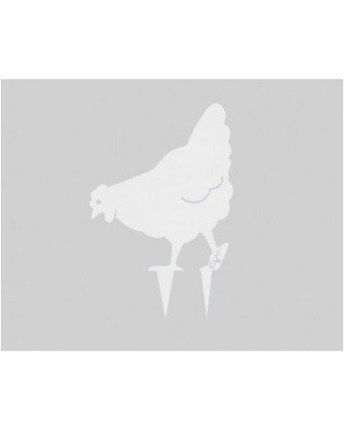 Poule Miss Chabo - IDfer