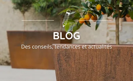 Blog