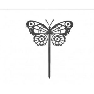 434.jpg Papillon Cocoon