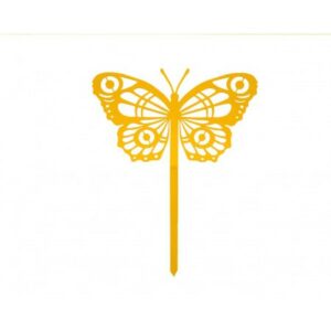 436.jpg Papillon Cocoon