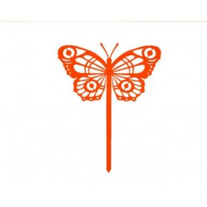 437.jpg Papillon Cocoon