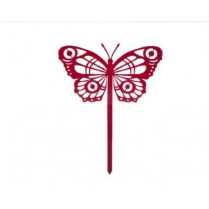 438.jpg Papillon Cocoon
