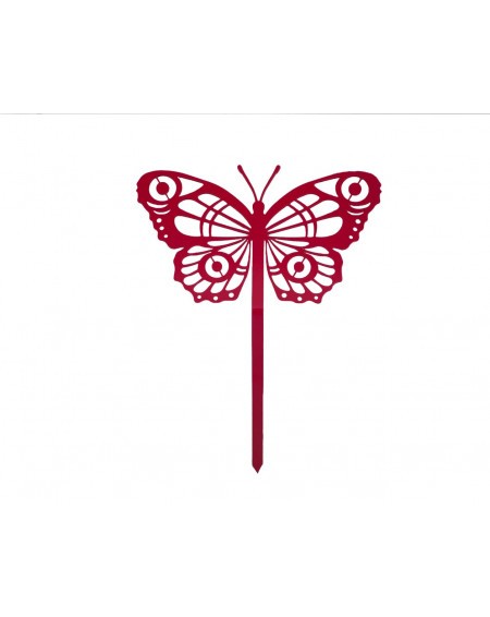438.jpg Papillon Cocoon