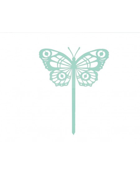 439.jpg Papillon Cocoon