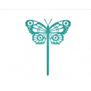 440.jpg Papillon Cocoon