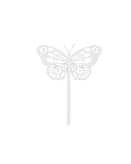 441.jpg Papillon Cocoon