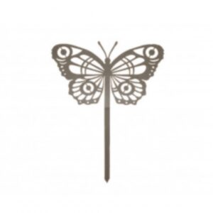 442.jpg Papillon Cocoon