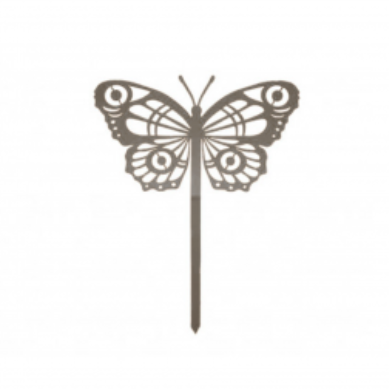 442.jpg Papillon Cocoon