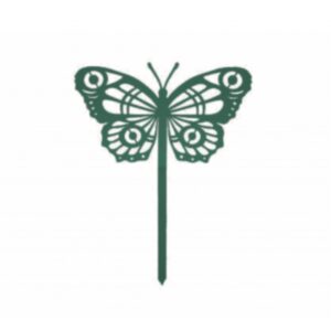 443.jpg Papillon Cocoon