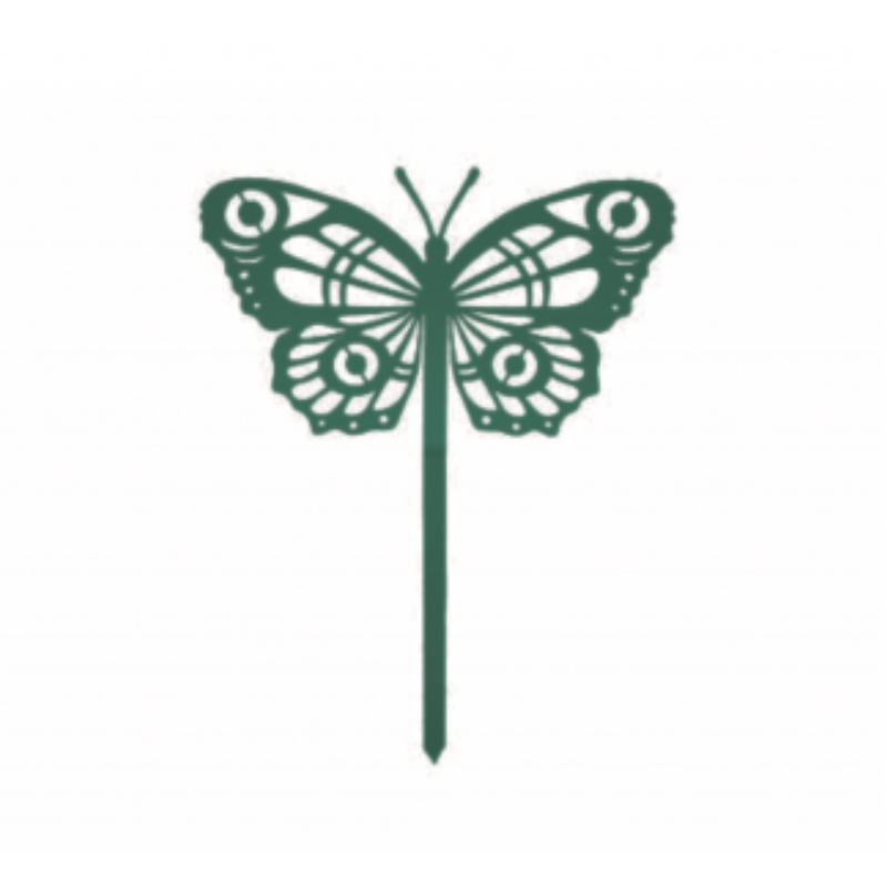 443.jpg Papillon Cocoon