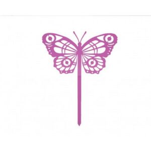 444.jpg Papillon Cocoon