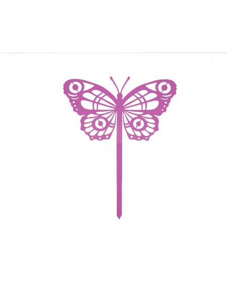 444.jpg Papillon Cocoon