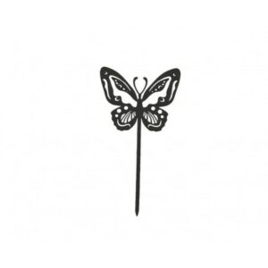 Papillon Beautiful