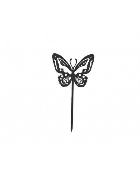 Papillon Beautiful
