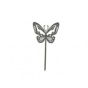 Papillon Beautiful