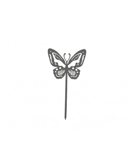 Papillon Beautiful