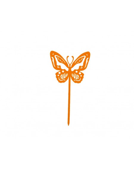 Papillon Beautiful