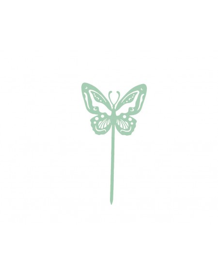 Papillon Beautiful
