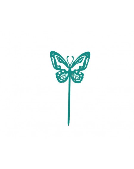 Papillon Beautiful
