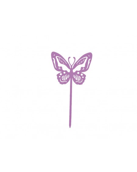 Papillon Beautiful