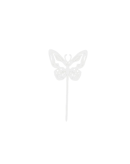 Papillon Beautiful