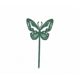 Papillon Beautiful