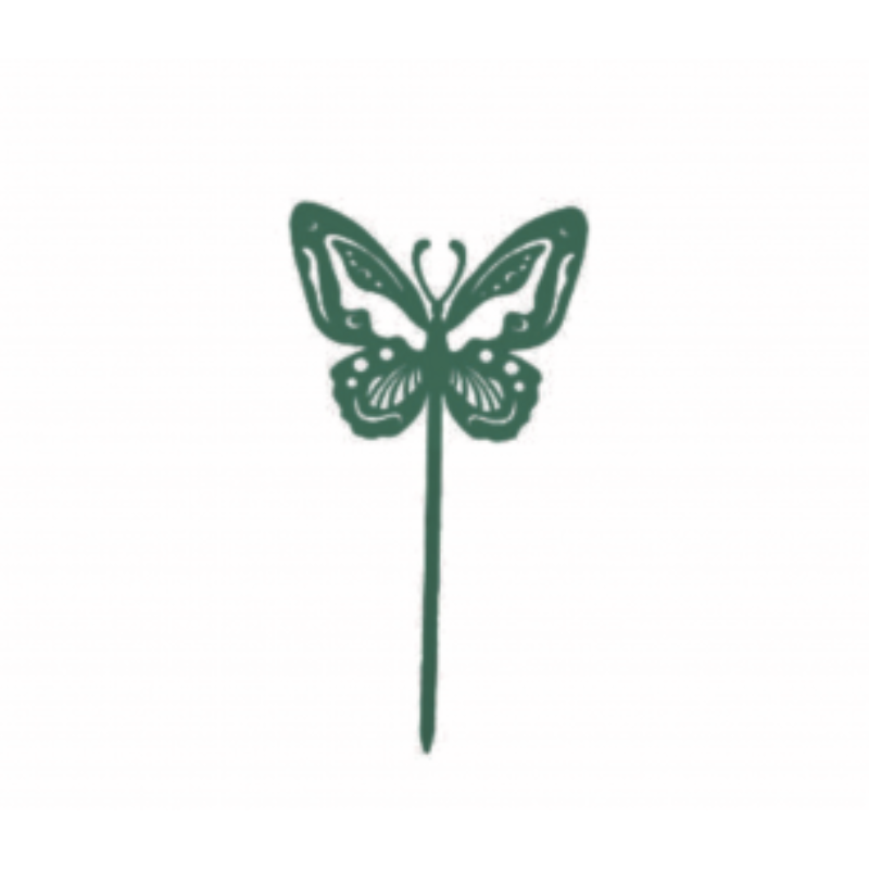 Papillon Beautiful