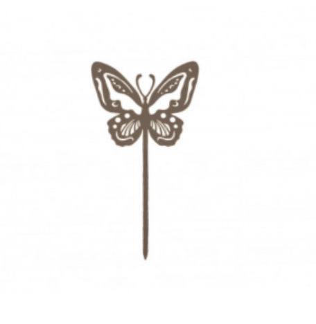 Papillon Beautiful
