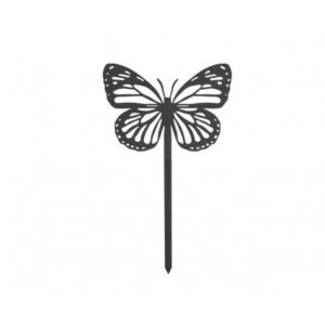 464.jpg Papillon Amor