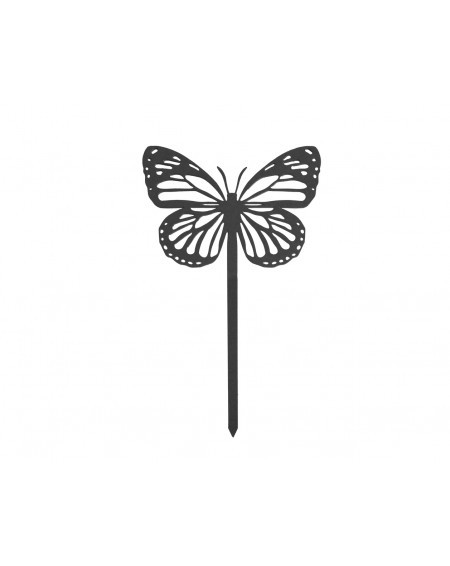 464.jpg Papillon Amor