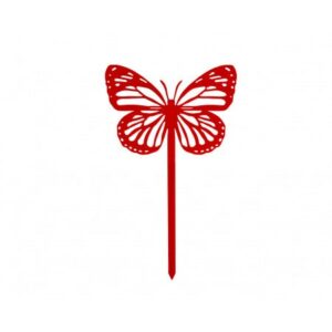 469.jpg Papillon Amor