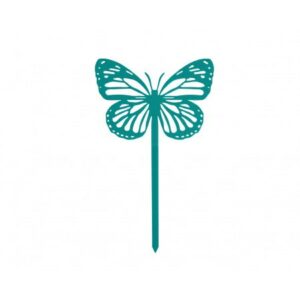 471.jpg Papillon Amor