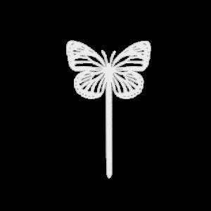 473.jpg Papillon Amor