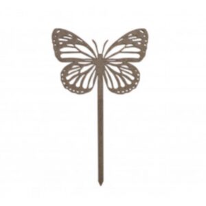 476.jpg Papillon Amor