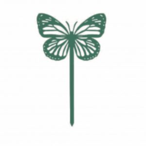 477.jpg Papillon Amor