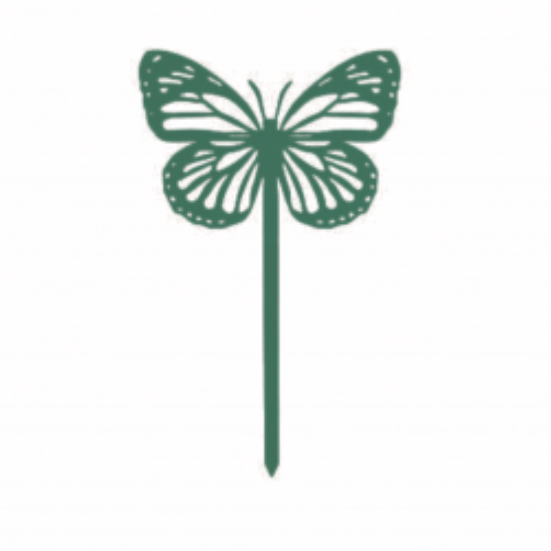 477.jpg Papillon Amor
