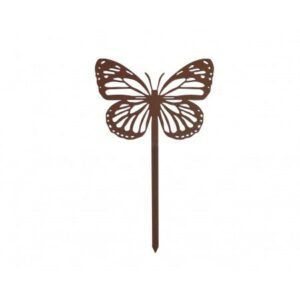 478.jpg Papillon Amor
