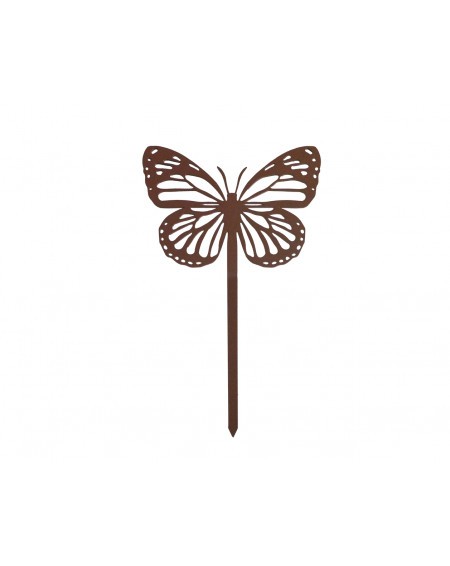 478.jpg Papillon Amor