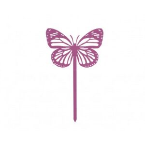 481.jpg Papillon Amor