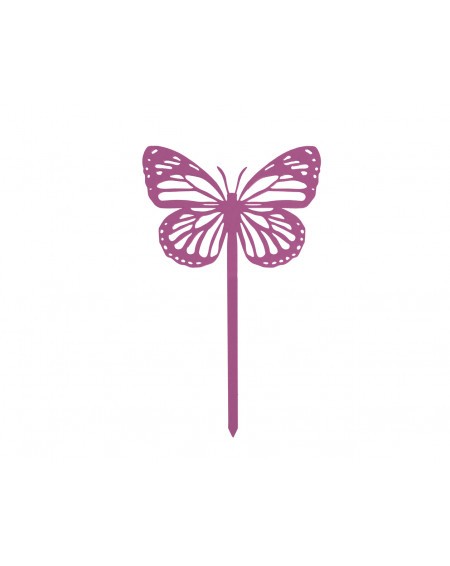 481.jpg Papillon Amor