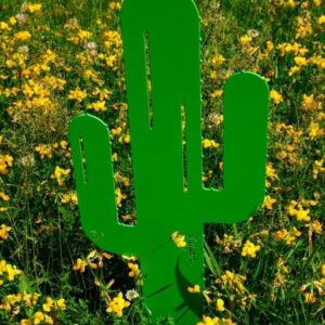 Cactus Mr Pique