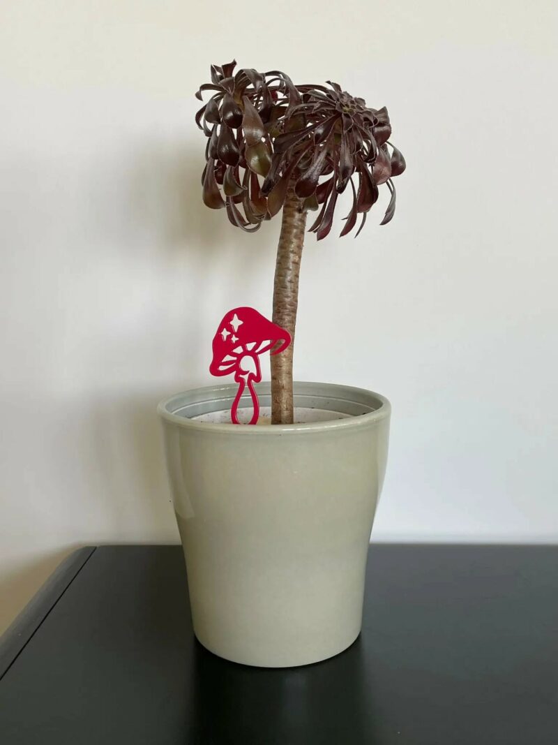 champignon rouge framboise en métal plantes et pots