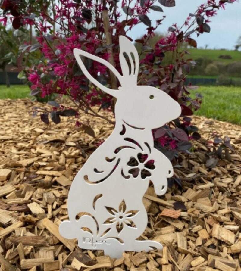 Lapin Lady Rabbit