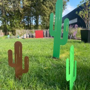 Cactus Mr Pique